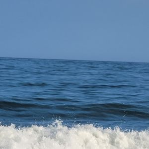 Meet your Posher, Jane